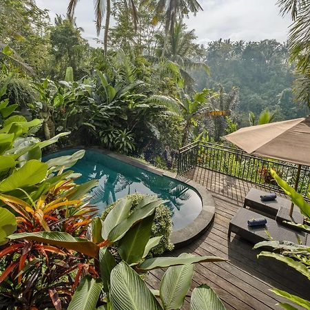 Mandana Ubud Villa Εξωτερικό φωτογραφία