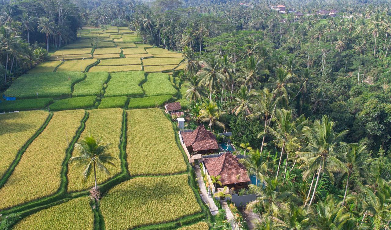 Mandana Ubud Villa Εξωτερικό φωτογραφία